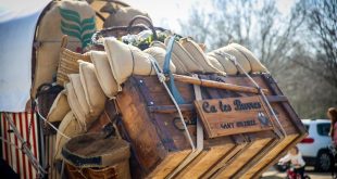 Aquest diumenge arriba la tradicional Passada de Sant Antoni Abat a Sant Quirze del Vallès