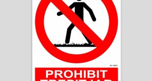 Prohibit trepitjar la gespa per Phil Connors