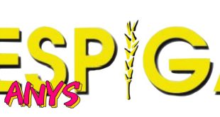 La revista L’Espiga celebra el 50è aniversari amb un premi de periodisme local per a joves d’arreu dels Països Catalans